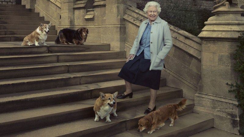 ¿Quién se quedará con los corgis de la reina Isabel II?