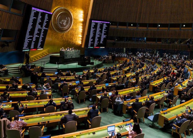Asamblea General de la ONU veto