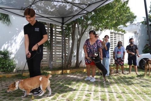 Invitación a ser responsables con las mascotas y no comprar, adoptar