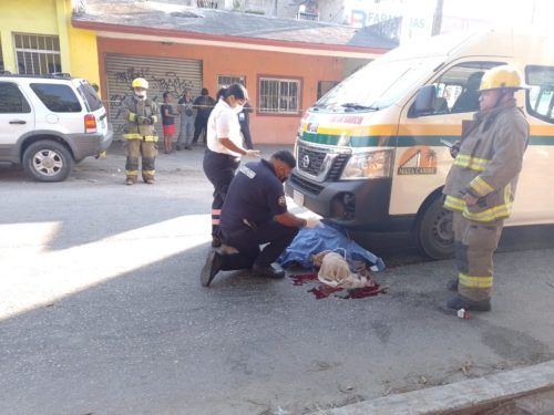 Mata combi de Maya Caribe a una abuelita por conducir en exceso de velocidad