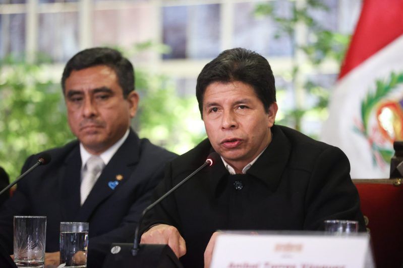 Pedro Castillo Perú OEA