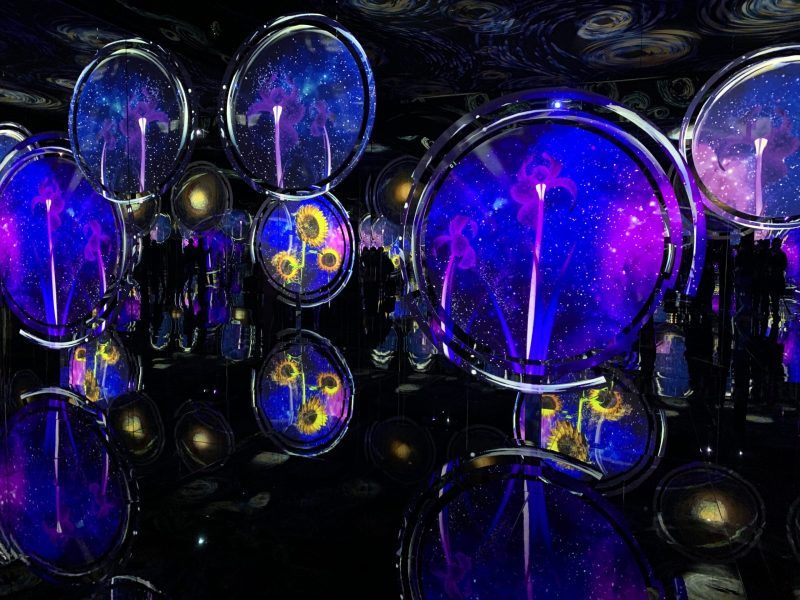 Van Gogh brilla en Roma con una gran muestra. Foto de EFE