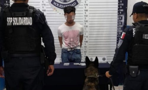 Arrestan a marihuanillo en filtro policiaco de Playa del Carmen