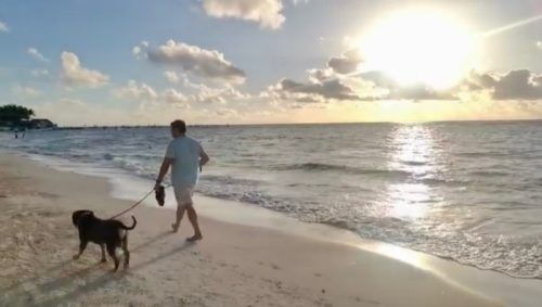 Presencia de mascotas se mantiene prohibida en las playas de Solidaridad