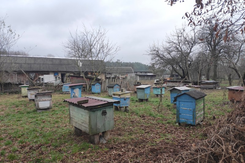 Irse al pueblo en Ucrania, el plan B para aguantar el invierno