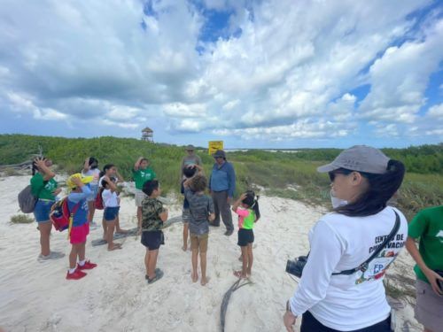 RESTAURAN EL ECOSISTEMA DE MANGLAR ||Siembran niñas y niños propágulos de mangle en Punta Sur