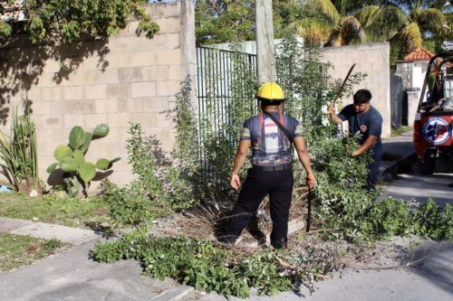 Llega el programa "Gobierno ciudadano cerca de ti" al fraccionamiento Villas Morelos 1 de Puerto Morelos