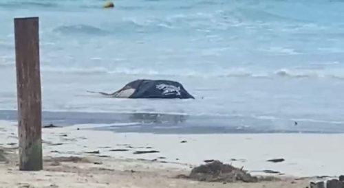 Aseguran a ocho indocumentados cubanos en las costas de Isla Mujeres