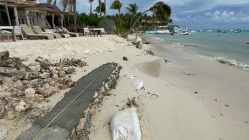 Denuncian ante la Profepa a hotel The Reef Cocobay y club de playa Mandarina por presunto daño ambiental 