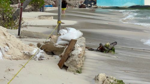 Denuncian ante la Profepa a hotel The Reef Cocobay y club de playa Mandarina por presunto daño ambiental 