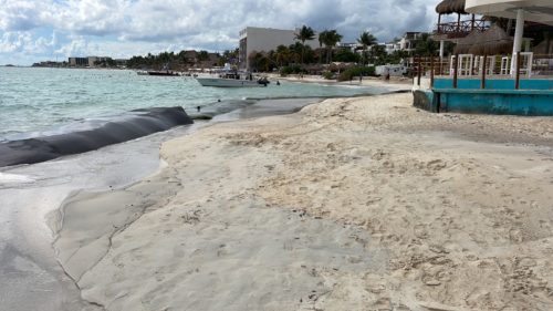 Denuncian ante la Profepa a hotel The Reef Cocobay y club de playa Mandarina por presunto daño ambiental 