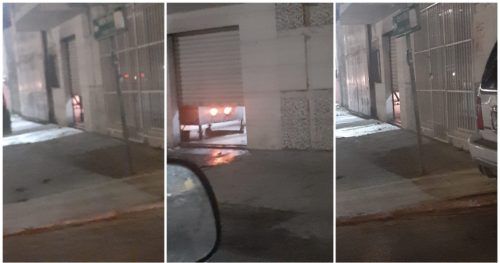 Denuncian incineración de animales en la Colosio en Playa del Carmen