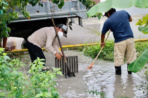 Este año se reforzaron los servicios públicos en Puerto Morelos para mantener una buena imagen urbana