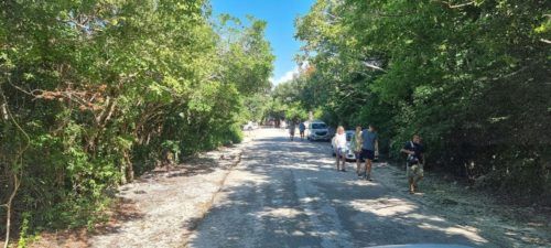 
No se permitirán más obras en el Parque Nacional Tulum: Sedatu 