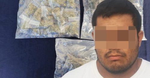 Vendía marihuana en la Nicte Ha de Playa del Carmen
