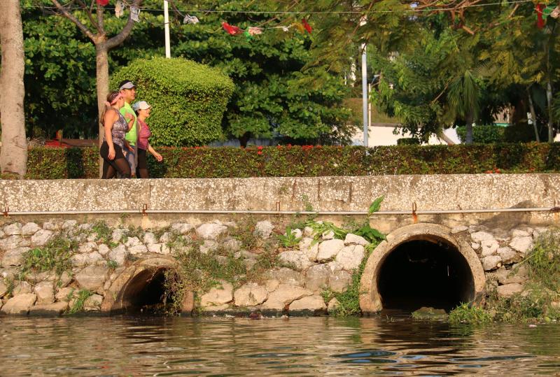 Liberan peces en laguna convertida en fosa séptica en Tabasco - laguna-de-las-ilusiones-fosa-peces-tabasco-1024x690