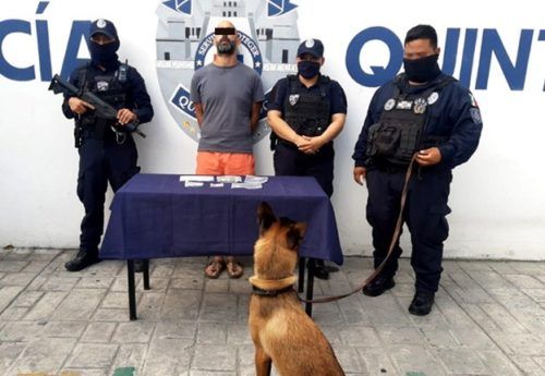 PERRITO LO BALCONEA || Detienen a narcomenudista extranjero en la terminal del ferry de Playa del Carmen 