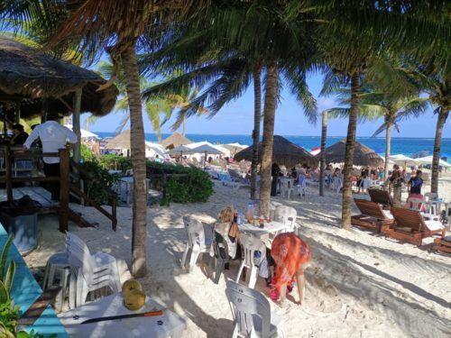 Puerto Morelos reporta saldo blanco en el mejor coerre de año de su historia