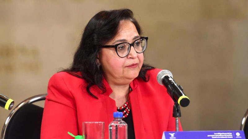 #Perfil Norma Lucía Piña, primera mujer presidenta de la SCJN - ministra-norma-lucia-pina-hernandez