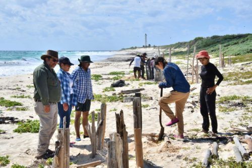 Estudiantes se suman acciones de restauración, conservación y educación ambiental en Cozumel