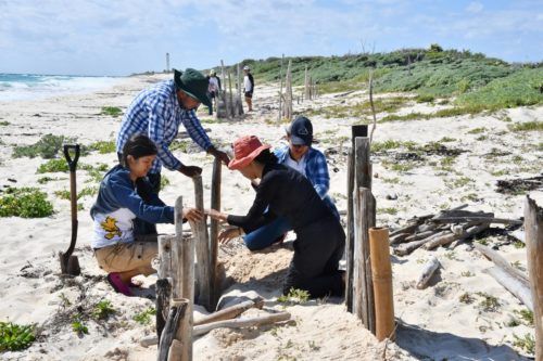 Estudiantes se suman acciones de restauración, conservación y educación ambiental en Cozumel