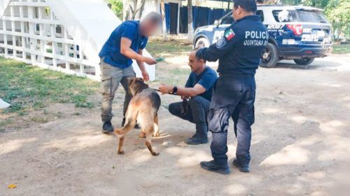 Supervisa Embajada de Estados Unidos condiciones de los binomios caninos