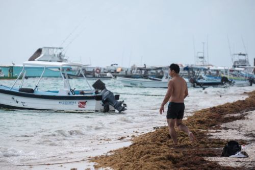 Suradas paralizan las actividades acuáticas en Playa del Carmen
