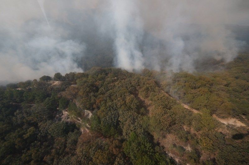 Declaran Emergencia Atmosférica en ZM de Guadalajara por incendio en el Bosque La Primavera. Foto de Twitter Enrique Alfaro