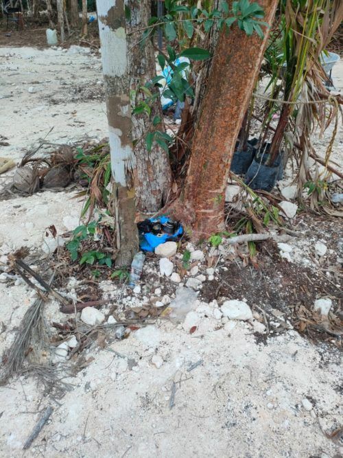 Desmantelan militares campamento de narcos en Othón P. Blanco