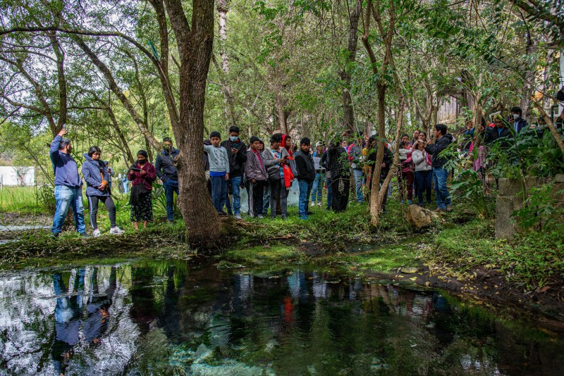 Marchan en Chiapas para exigir protección a ecosistemas de agua - marchan-en-chiapas-para-exigir-proteccion-a-ecosistemas-de-agua-2-1024x684