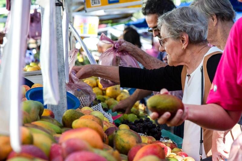 FAO alimentos seguridad alimentaria