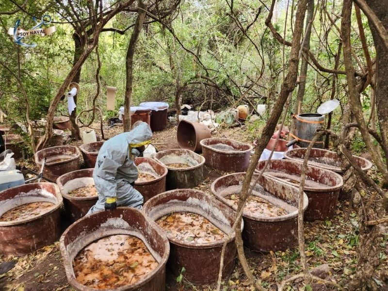 Semar desmantela 18 laboratorios clandestinos y destruye 60 plantíos de amapola y mariguana - laboratorio-clandestino-desmantelado-por-la-semar