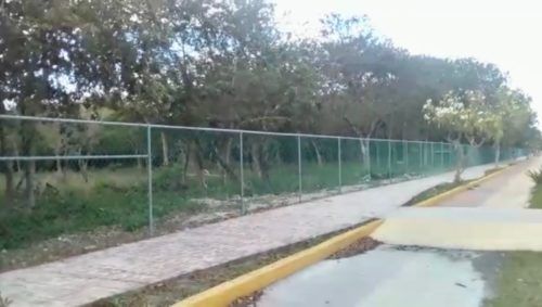 Advierten sobre venta ilegal de predios en el Parque Industrial de Playa del Carmen