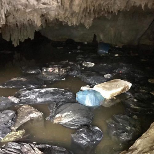 Alarmante contaminación de cenotes y ríos subterráneos por el crecimiento demográfico