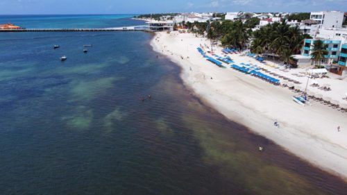 Colocará la Semar las barreras anti sargazo hasta abril en Playa del Carmen