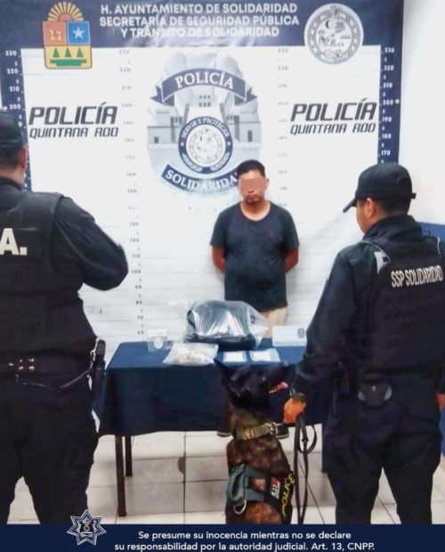 LO VUELVE HACER  Perrito balconea a narcomenudista en la zona turística de Playa del Carmen