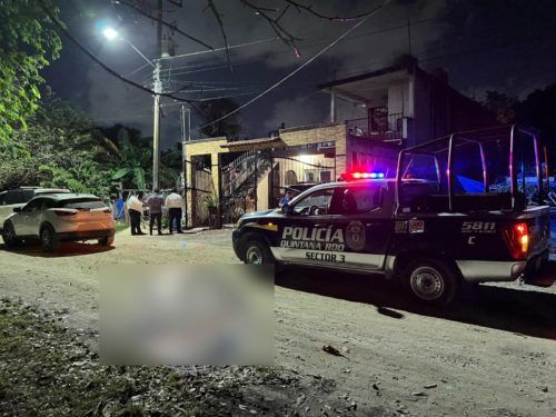 Muere mujer de 20 años por picaduras de abeja en Cancún
