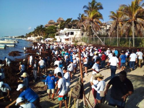 Se suman más de medio millar de solidarenes a la limpieza de playas