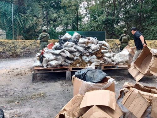 Incineran poco más de 350 kilos de narcóticos