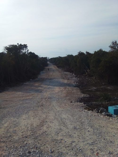 Explosiones de bancos de material pétreo afectan cenotes de Puerto Aventuras