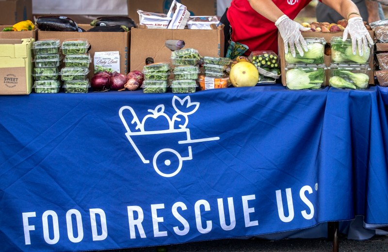 Florida se moviliza contra el desperdicio de comida que daña el medioambiente - florida-se-moviliza-contra-el-desperdicio-de-comida-que-dana-el-medioambiente-3-1024x665