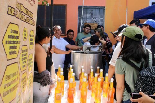 Estudiantes de la Unicaribe conocen en Leona Vicario procesos de producción de la miel y tilapia