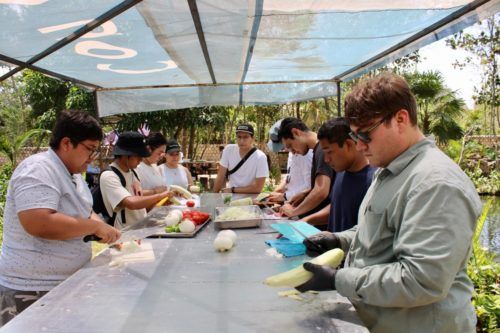 Estudiantes de la Unicaribe conocen en Leona Vicario procesos de producción de la miel y tilapia