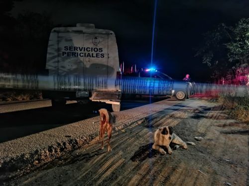 DESCUARTIZADO Y EN UNA MALETA Hallan el cuerpo de un hombre entre la maleza de la Región 202 de Cancún