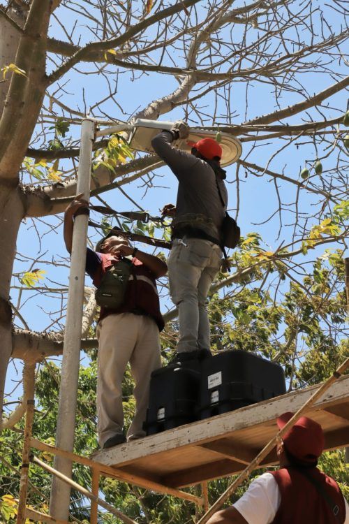 Inicia Yensunni rehabilitación del parque Solidaridad en Chetumal