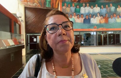 PROHIBIDAS PELEAS DE GALLOS Y CORRIDAS DE TOROS | Descartan diputados derogar ley de bienestar animal en Quintana Roo
