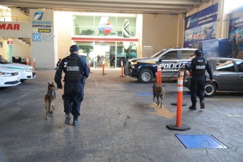 Refuerzan con agentes caninos vigilancia en playas del Caribe Mexicano