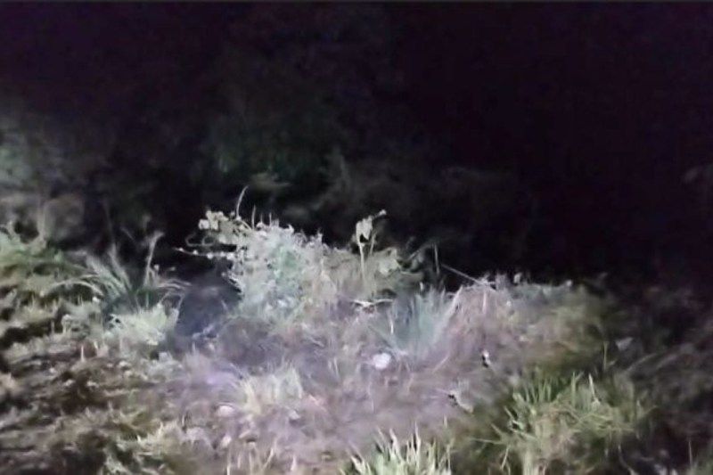 auto accidente barranco Guerrero