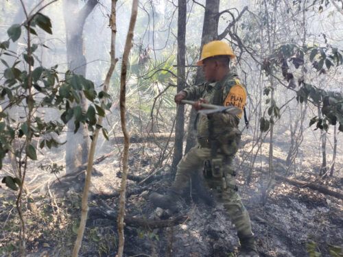 Aplica Ejército Plan DNIIIE en el combate a incendios forestales en Quintana Roo