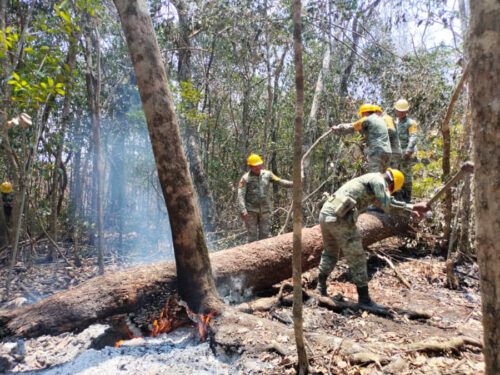 Aplica Ejército Plan DNIIIE en el combate a incendios forestales en Quintana Roo